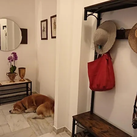 Apartment Laura Domus